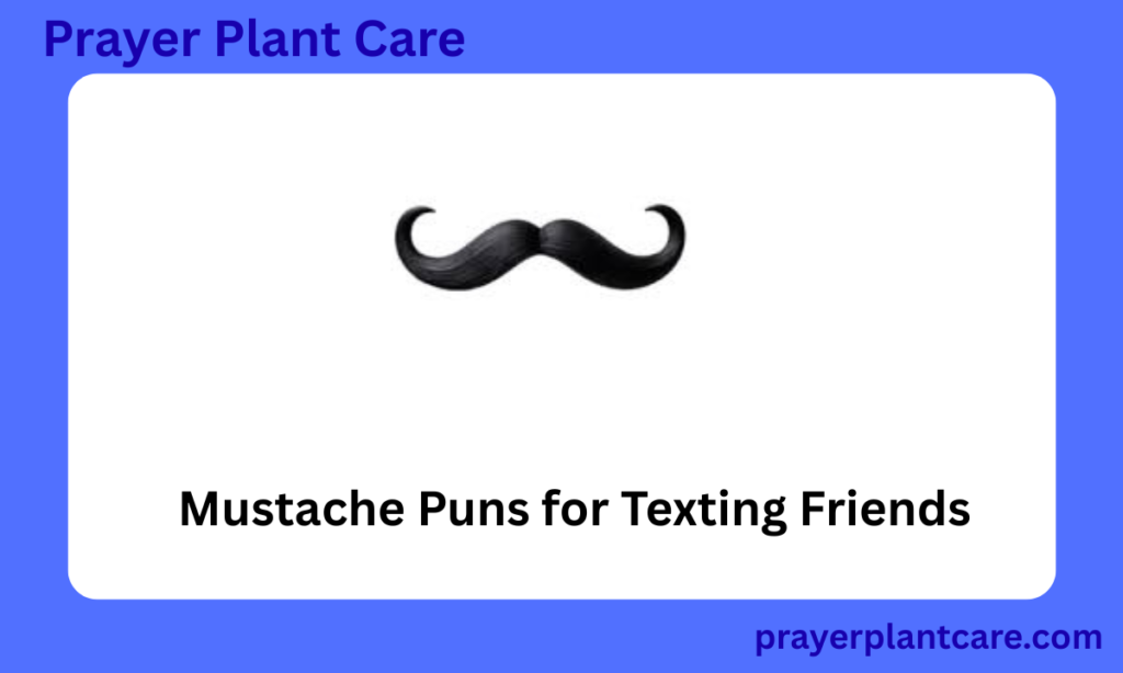 Mustache Puns for Texting Friends