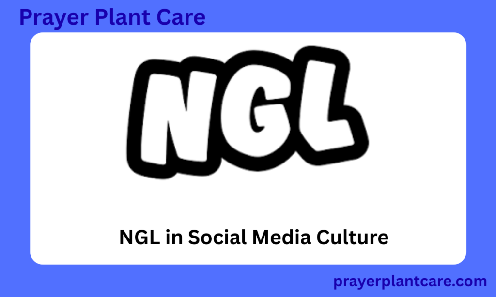 NGL in Social Media Culture