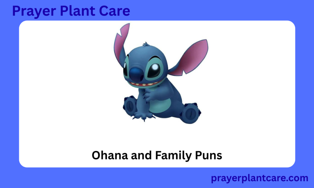 Ohana and Family Puns