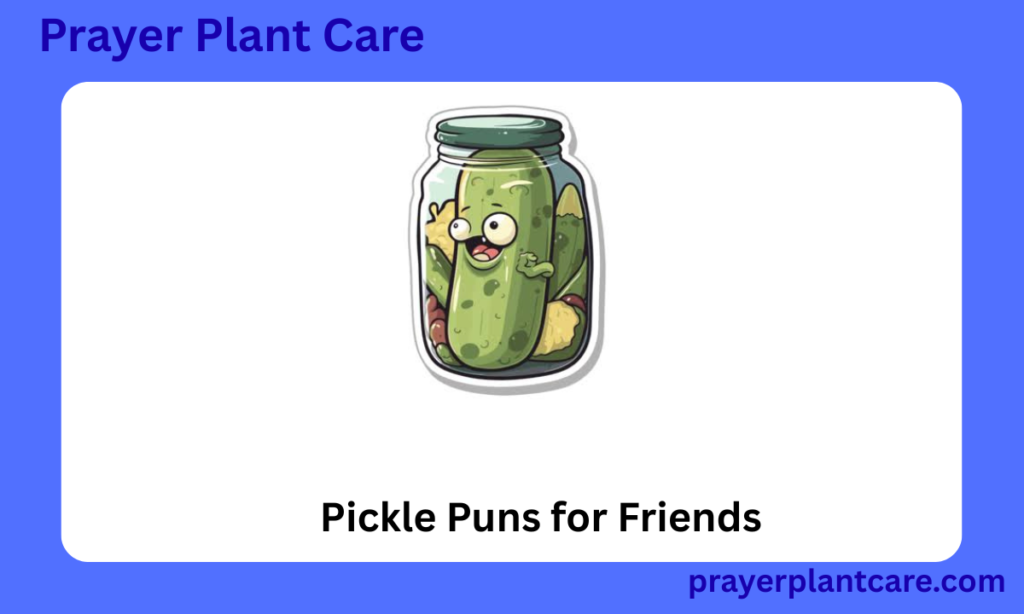 Pickle Puns for Friends