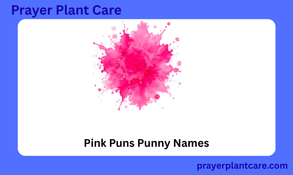 Pink Puns Punny Names
