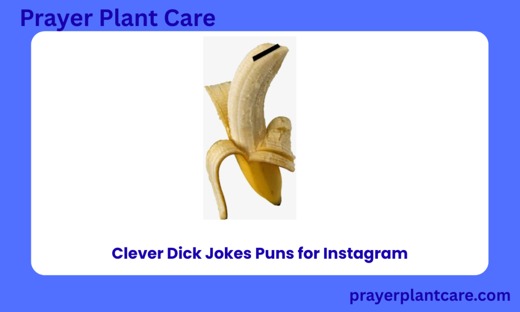 Punny Dick Quotes That'll Crack You Up