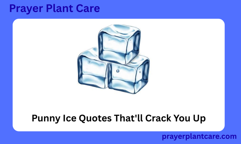 Punny Ice Quotes That'll Crack You Up