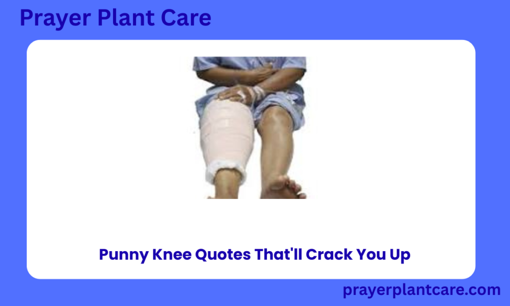 Punny Knee Quotes That'll Crack You Up