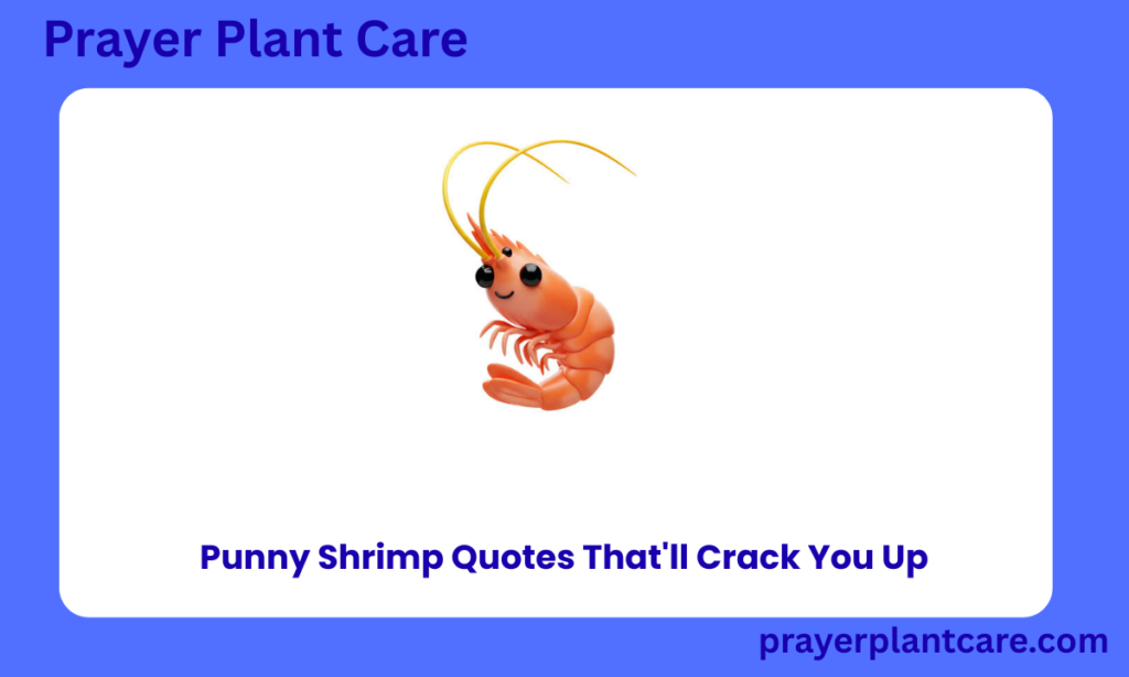 Punny Shrimp Quotes That'll Crack You Up