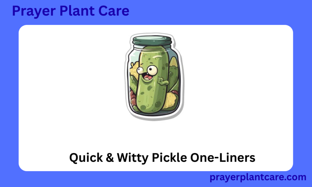 Quick & Witty Pickle One-Liners