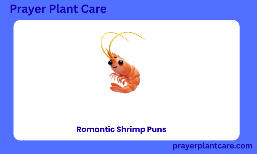 Romantic Shrimp Puns