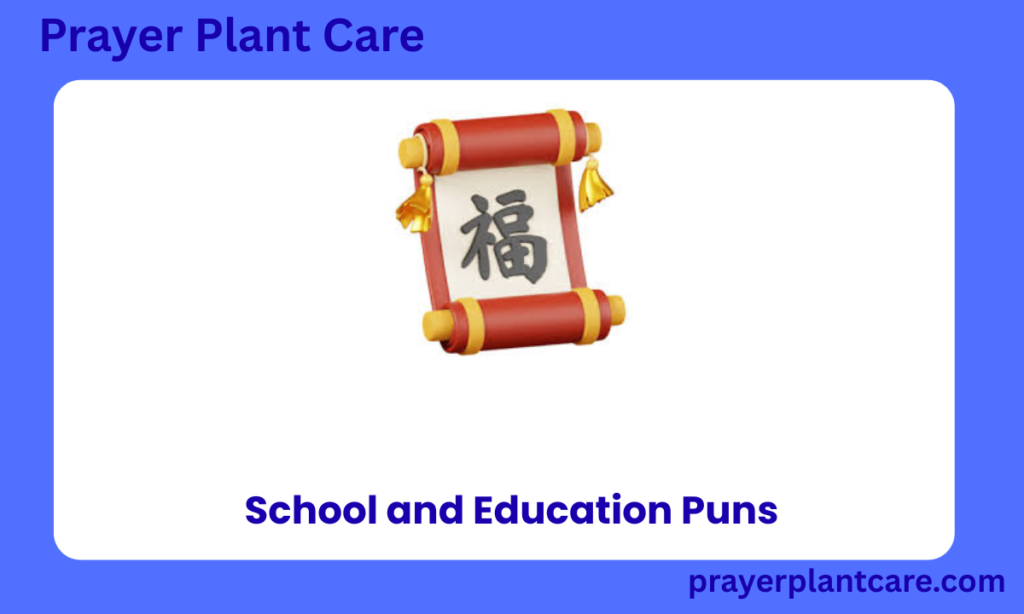 School and Education Puns