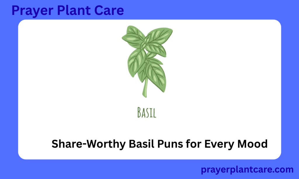 Share-Worthy Basil Puns for Every Mood