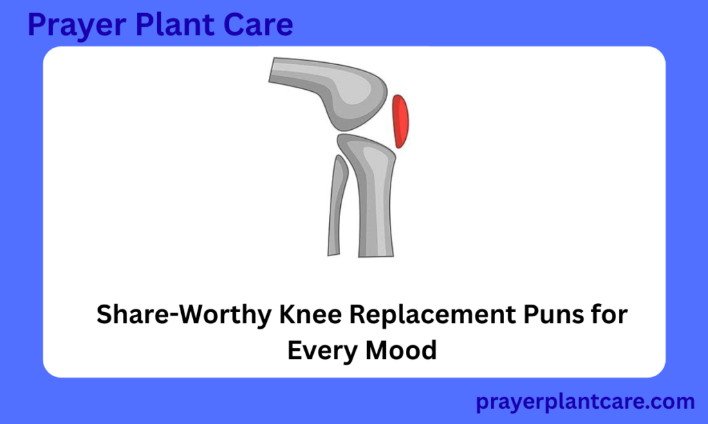 Share-Worthy Knee Replacement Puns for Every Mood