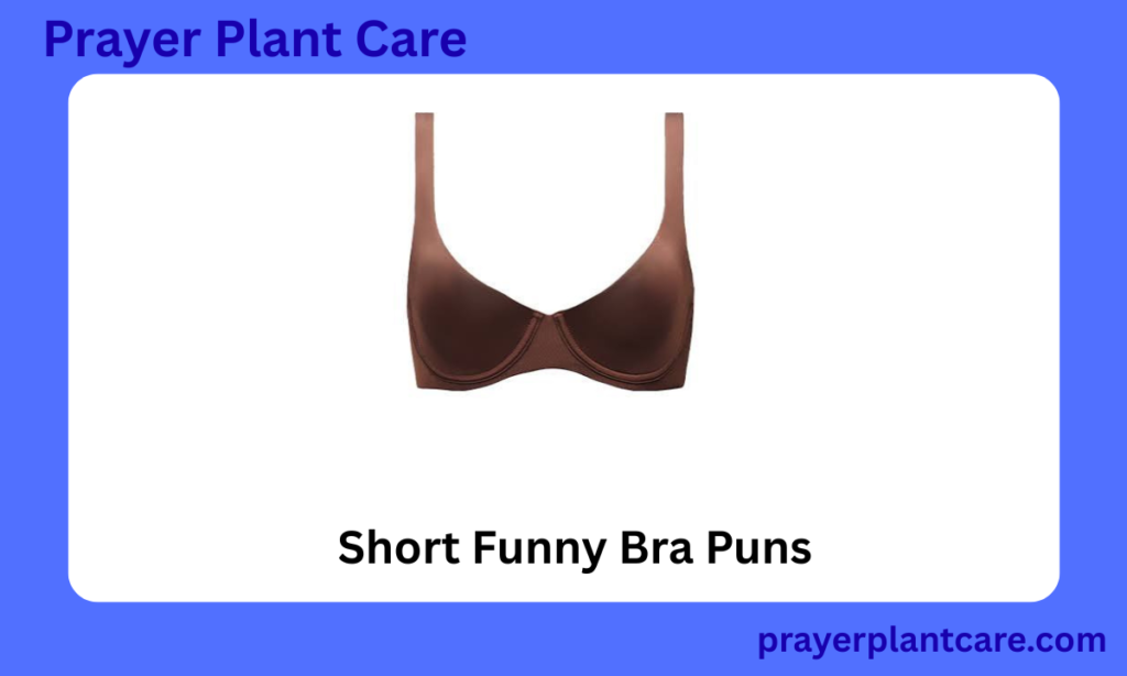 Short Funny Bra Puns
