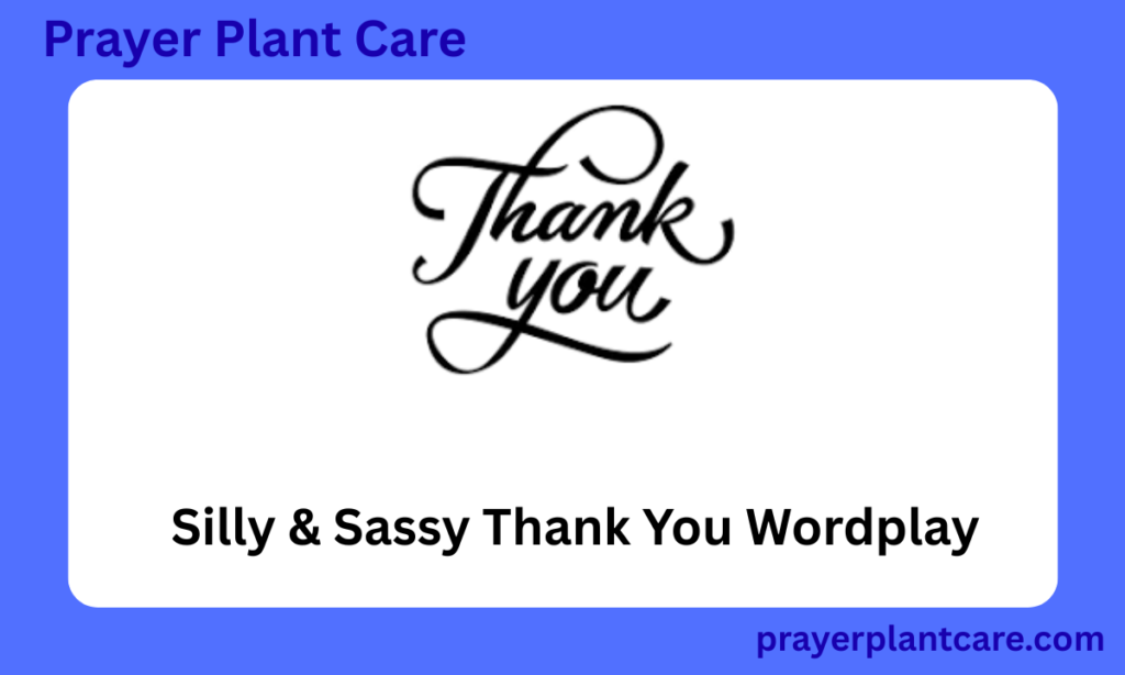 Silly & Sassy Thank You Wordplay