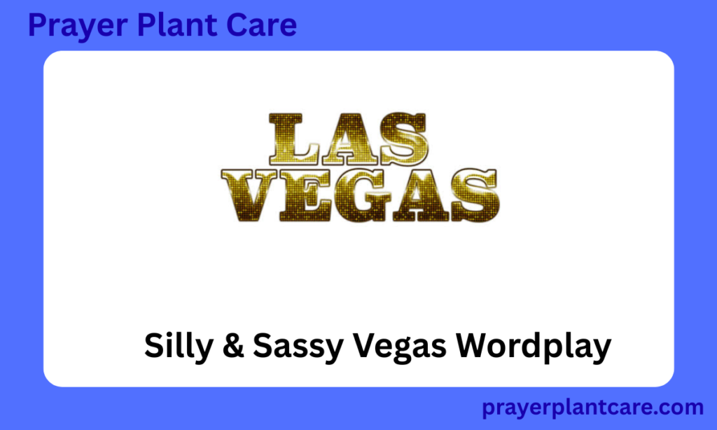 Silly & Sassy Vegas Wordplay