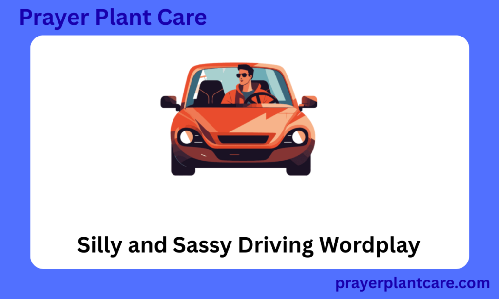 Silly and Sassy Driving Wordplay