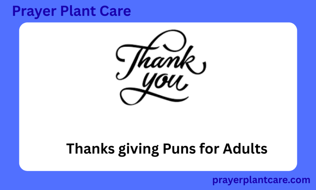 Thanks giving Puns for Adults