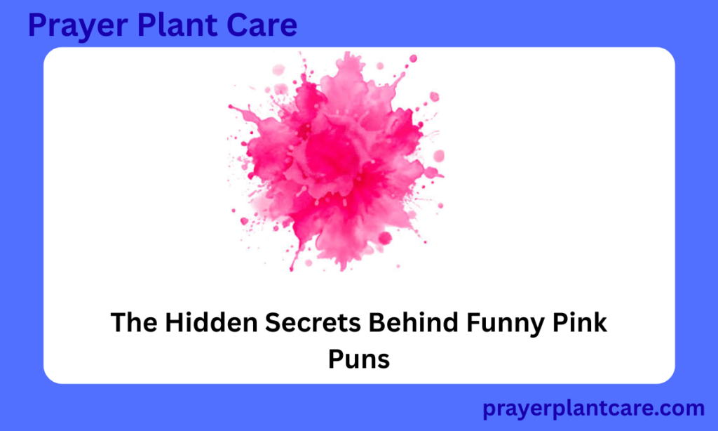 The Hidden Secrets Behind Funny Pink Puns