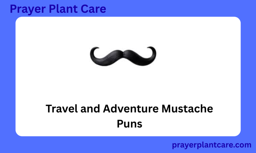 Travel and Adventure Mustache Puns
