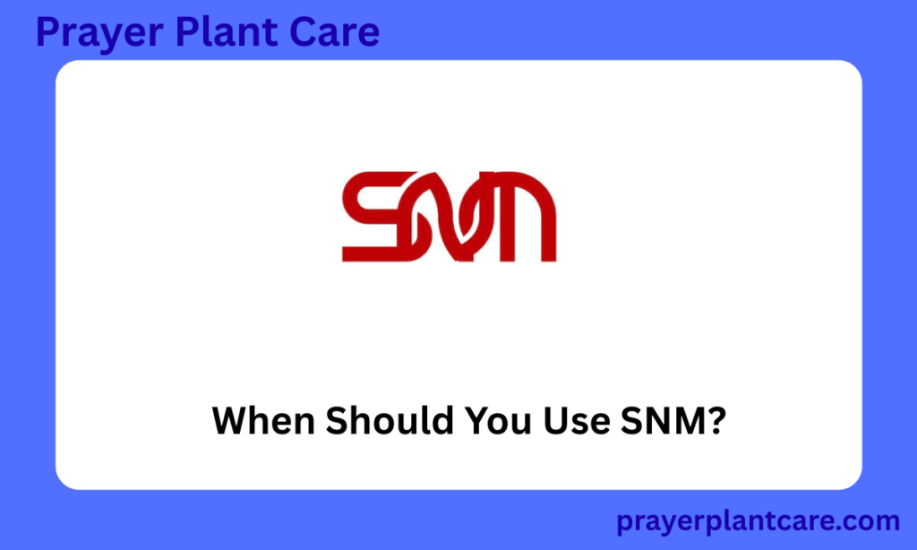 When Should You Use SNM