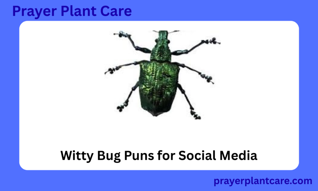 Witty Bug Puns for Social Media