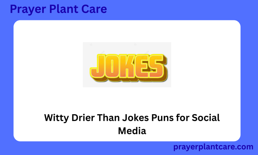 Witty Drier Than Jokes Puns for Social Media