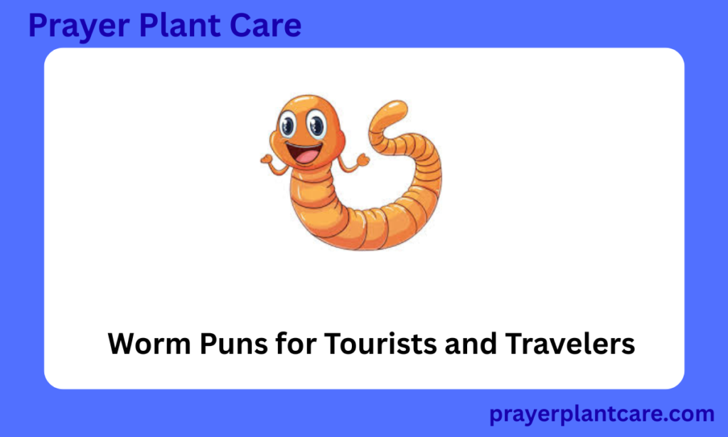 Worm Puns for Tourists and Travelers