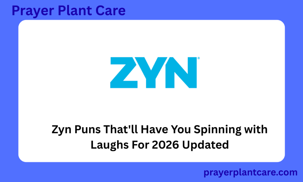 Zyn Puns That'll Have You Spinning with Laughs For 2026 Updated