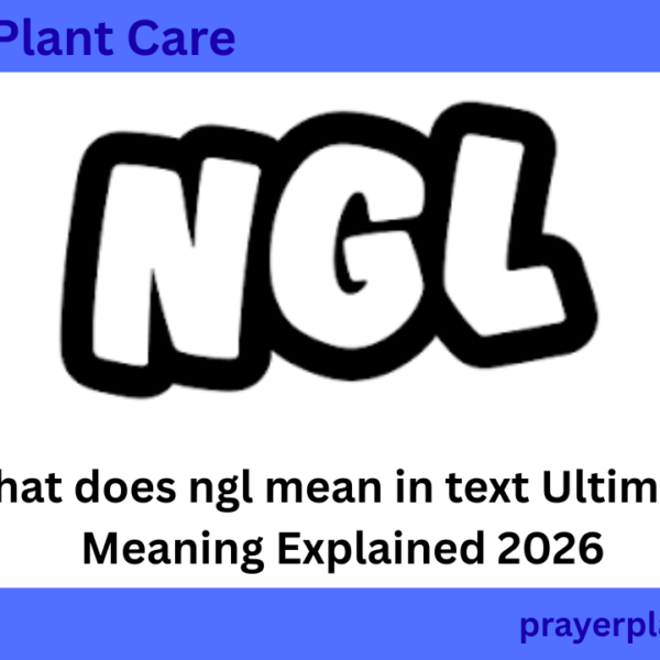 what does ngl mean in text Ultimate Meaning Explained 2026