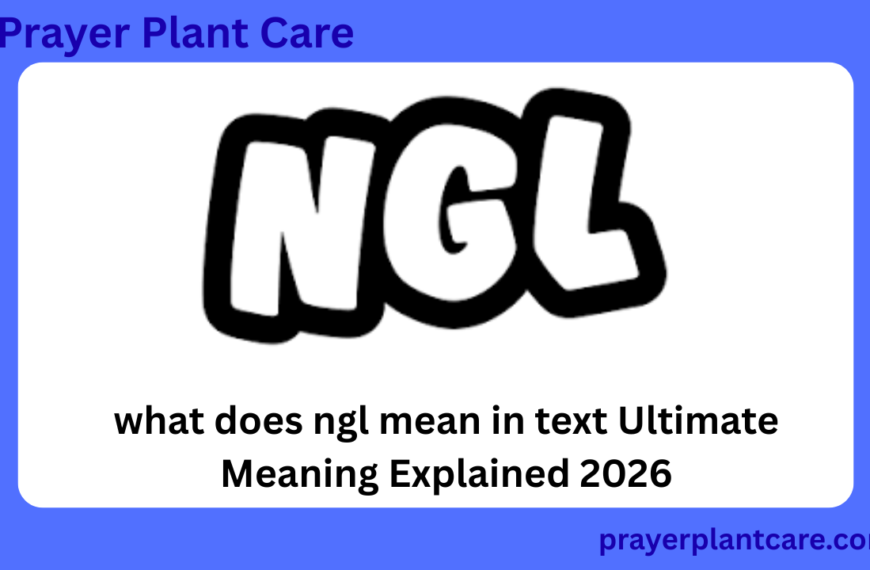 what does ngl mean in text Ultimate Meaning Explained 2026