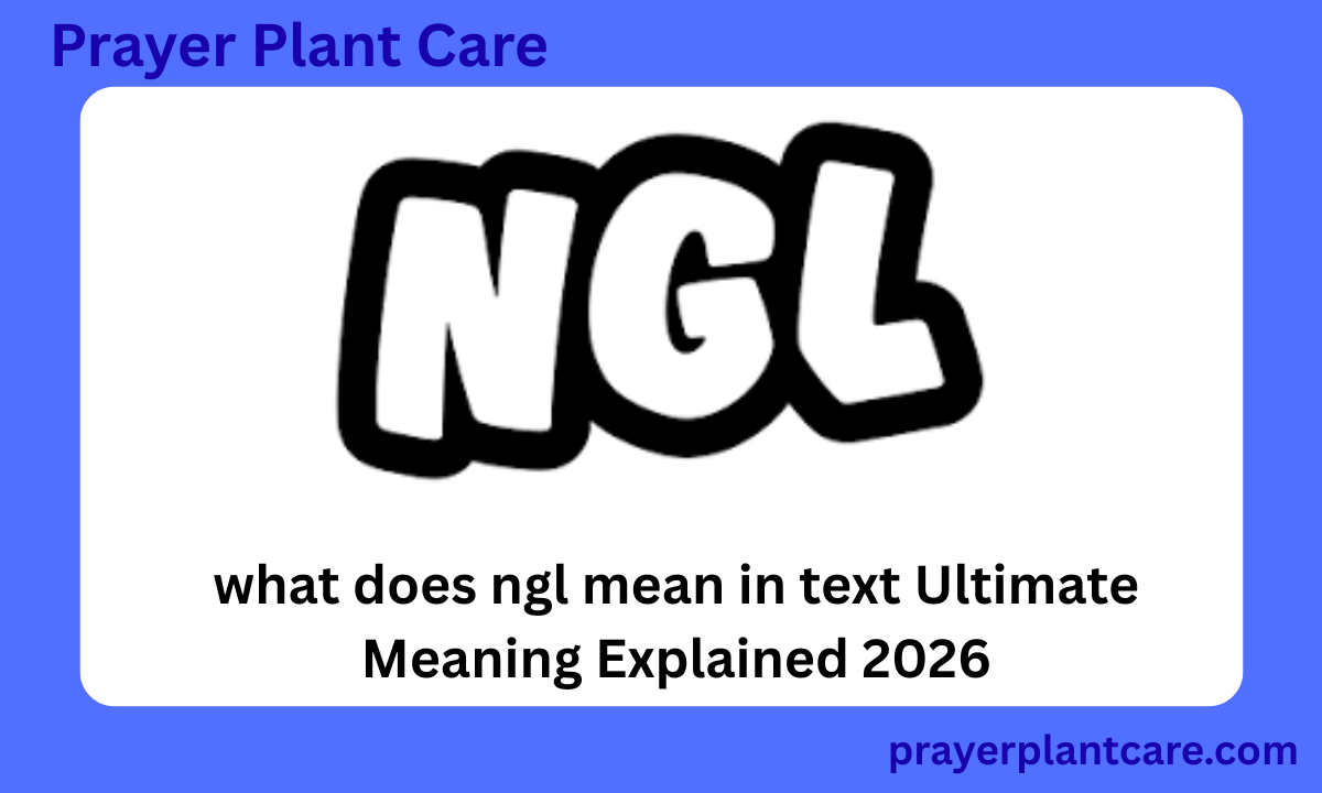 what does ngl mean in text Ultimate Meaning Explained 2026
